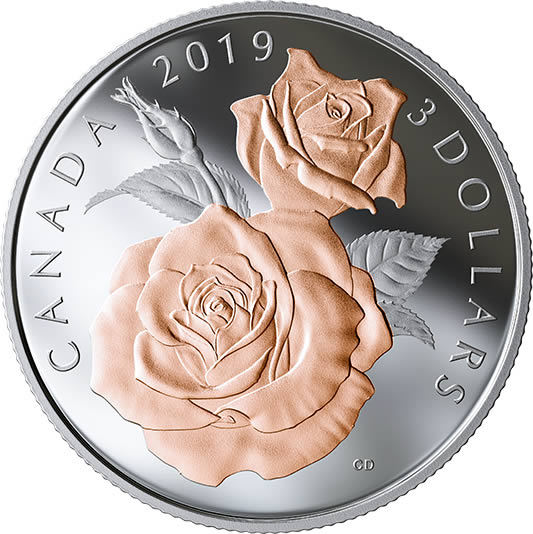 RCM-New-Release:-2019-Silver-Coin-With-Selective-Rose-Gold-Plating-Queen-Elizabeth-Rose-Blossoms